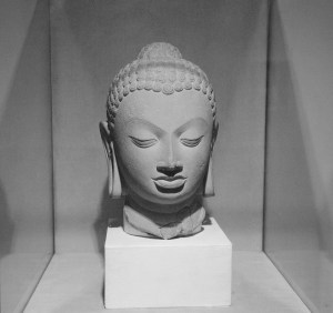 1 1200 72 dpi _DSC5453 copy copy