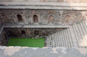 6 1200 72 dpi _DSC5270 copy copy