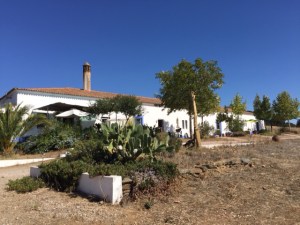 6 Main House IMG_1547