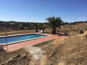 9 swimming pool IMG_1522