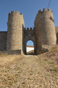 1200 _DSC6549 copy 2