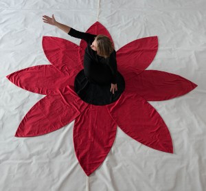 * 1200 A 5 Red Rosette -3968 copy