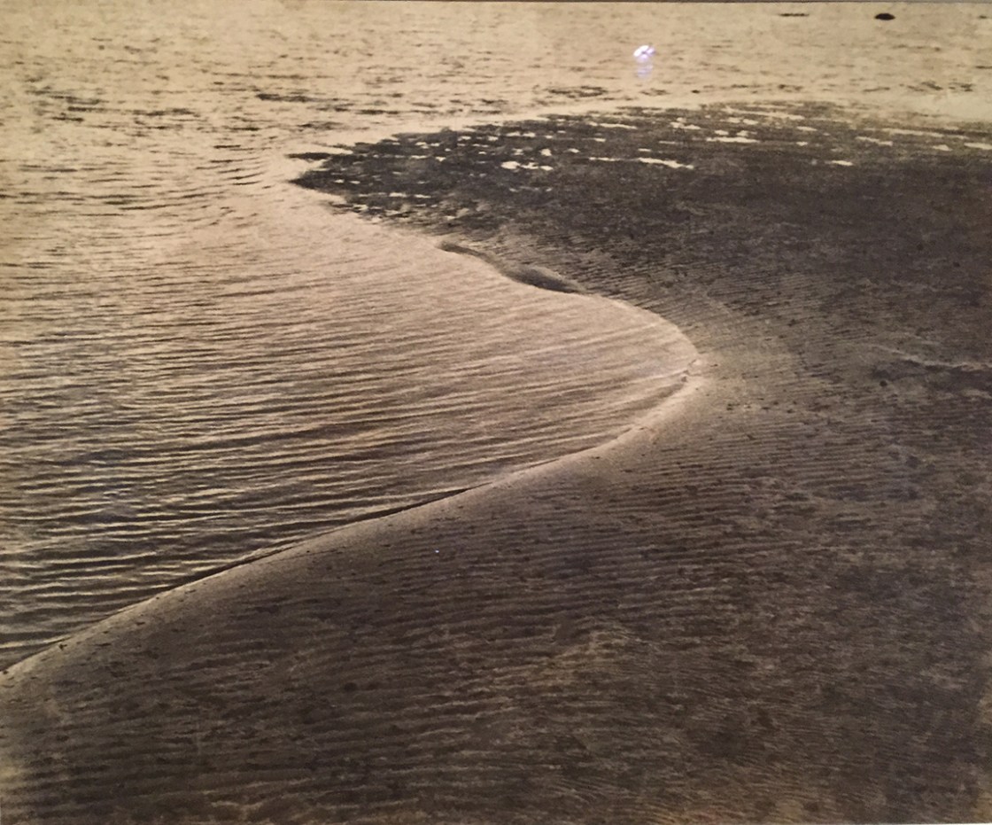 1 Nasreen Mohamedi photo IMG_2524