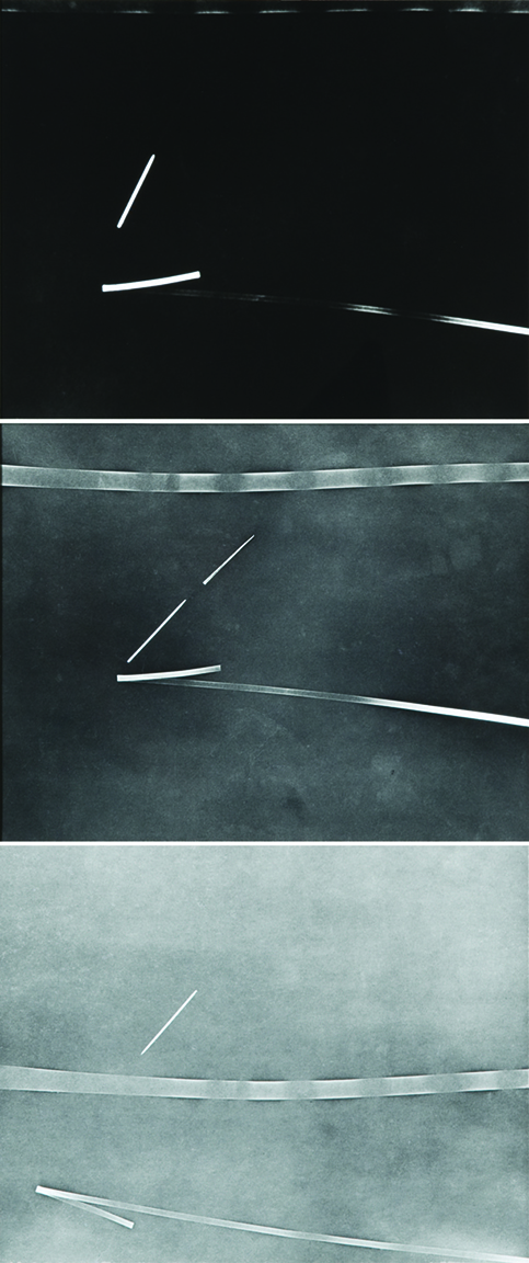 8 72 1200 photograms Nasreen_Mohamedi__Untitled_LORES