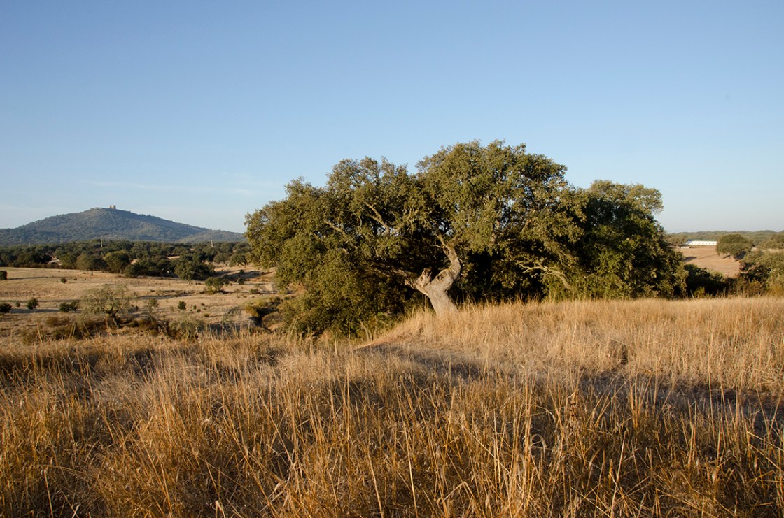 72 1200 color Portugal landscape--3