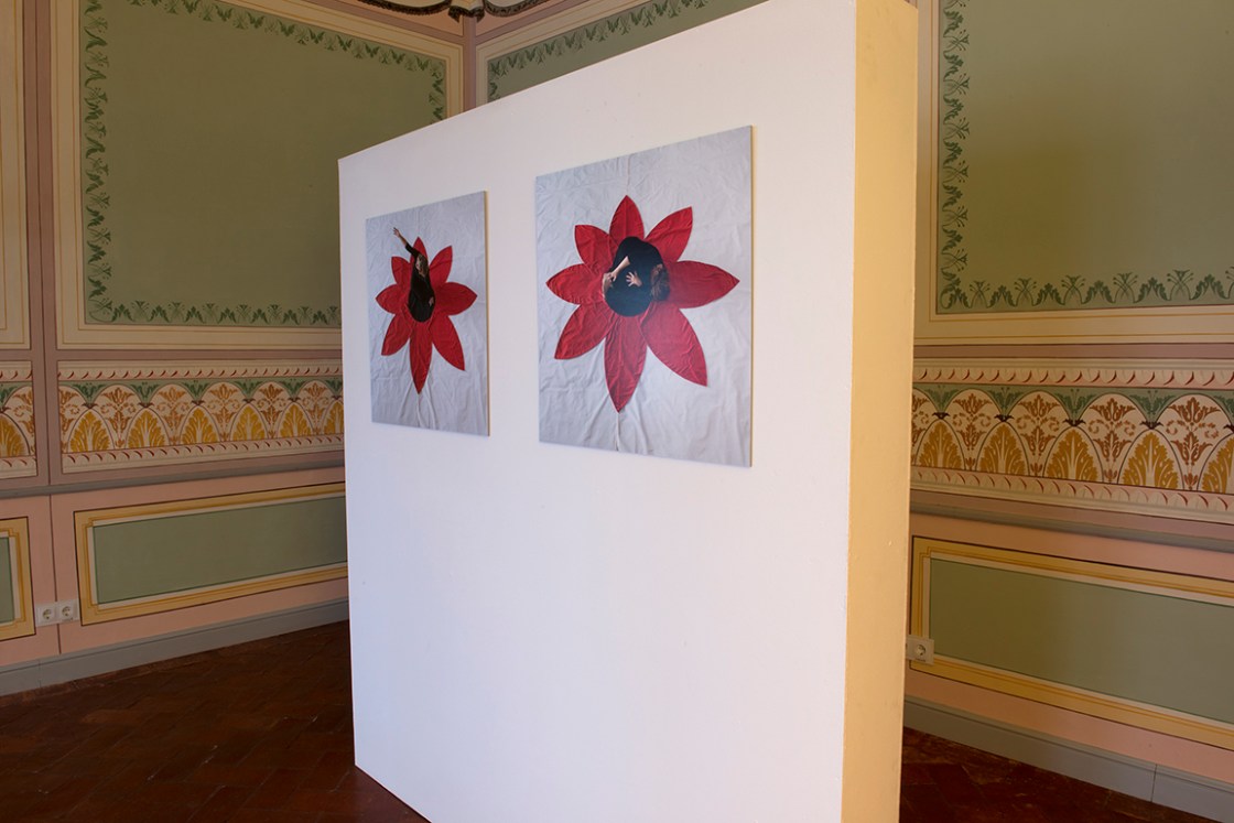 2-flores-72-_lfb5268-copy