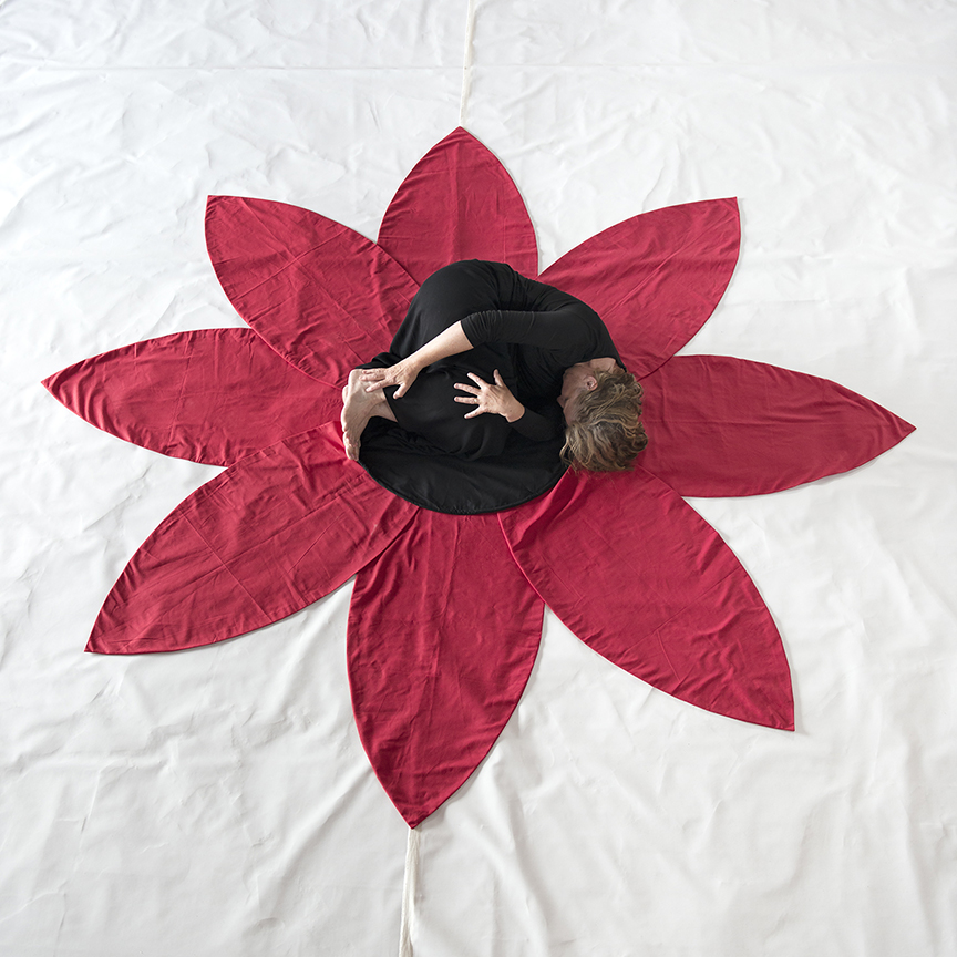 2-flower-flor-_dsc3928-copy