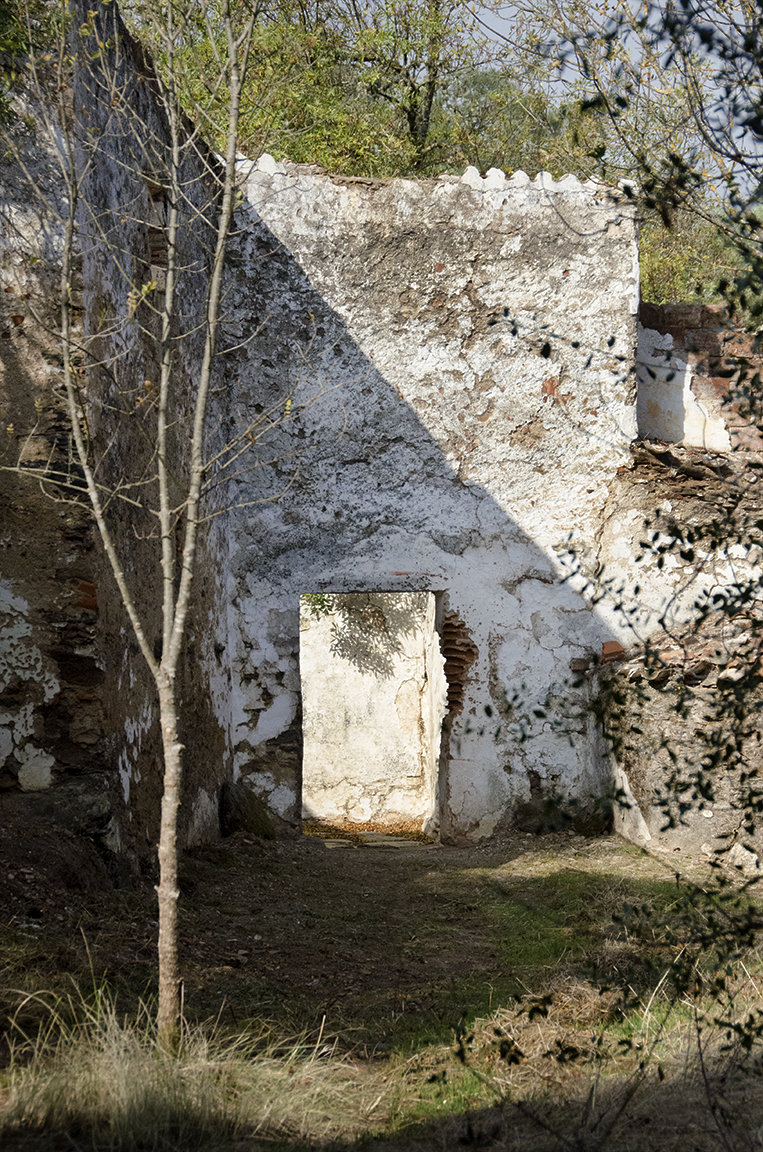 5-alento-_dsc7329-working-copy