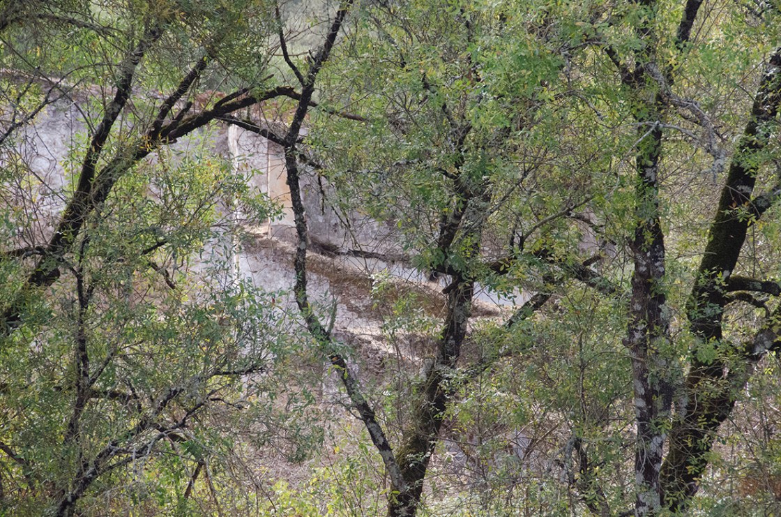 2 72 color _DSC7153 copy 3