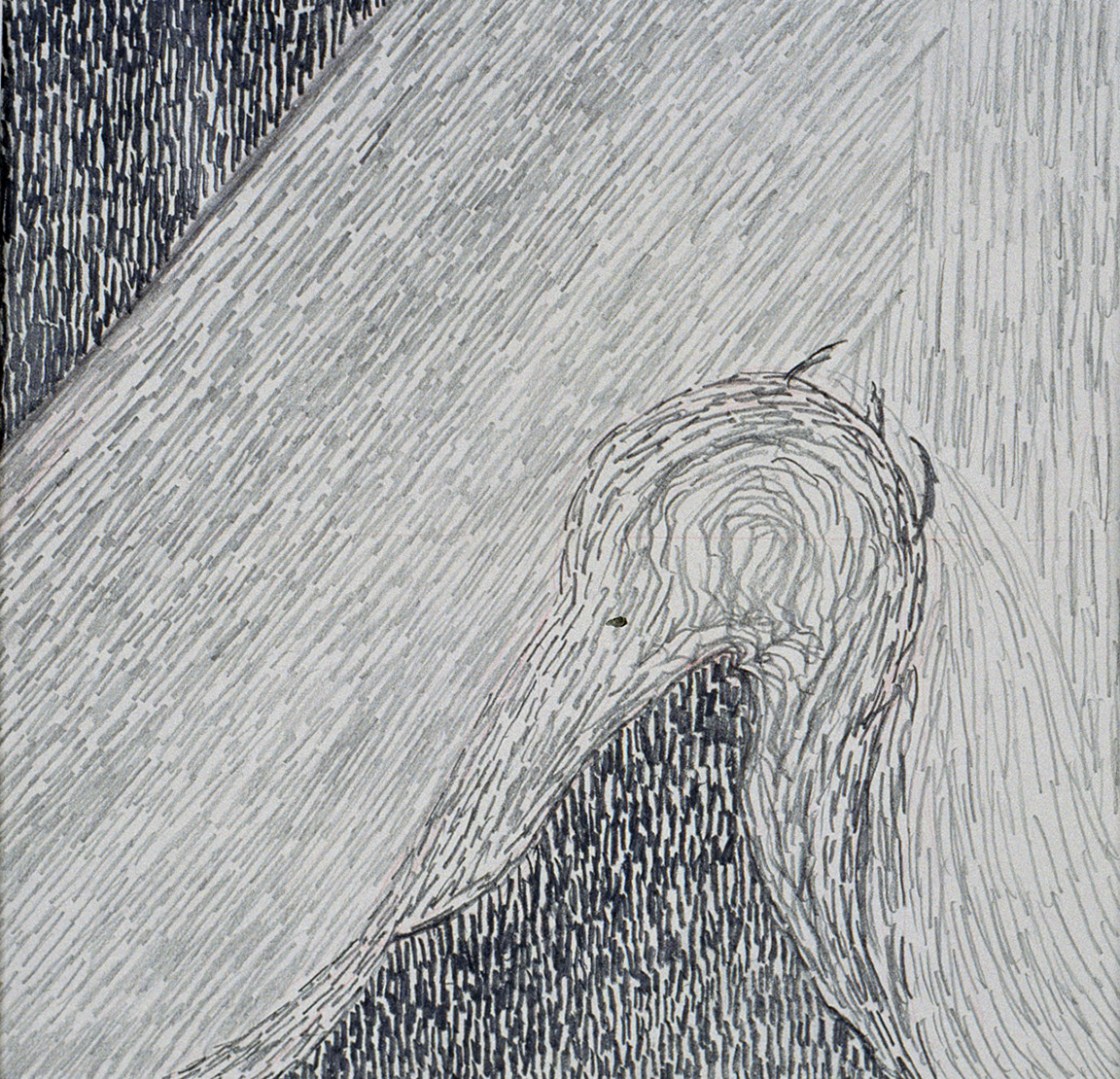 10 72 bashfulness 101