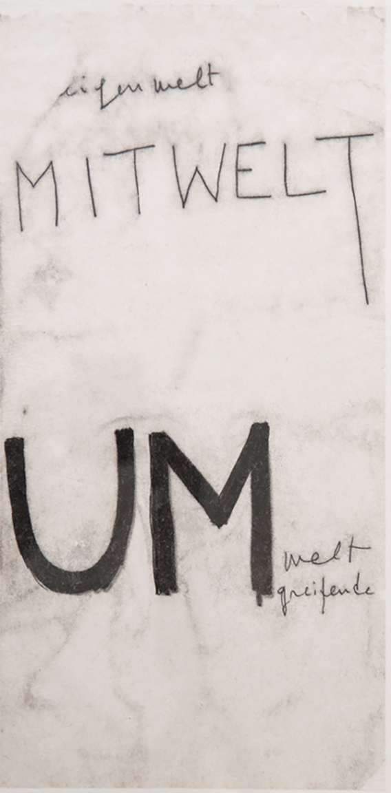 72 mitwelt 9f1db566c1ef64281134fcd99883b8a1 (1)