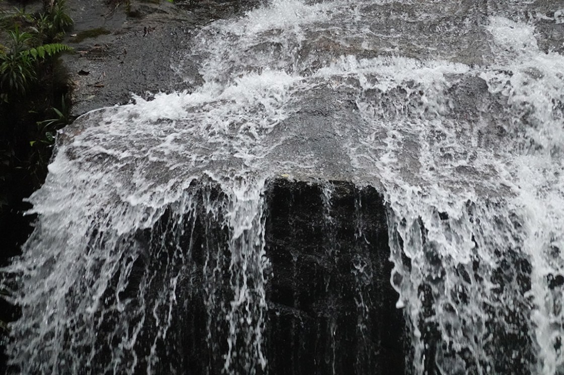 2 72 DSC00320 copy 2