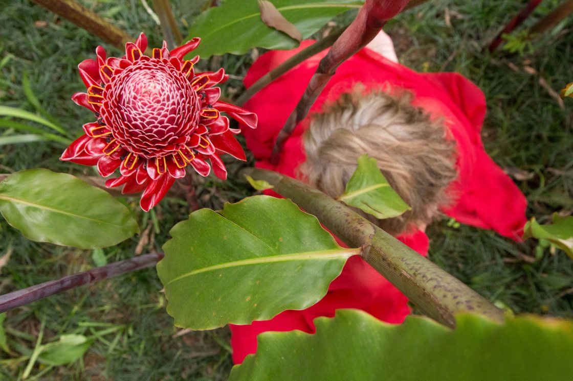 Lourdina's Garden-8319