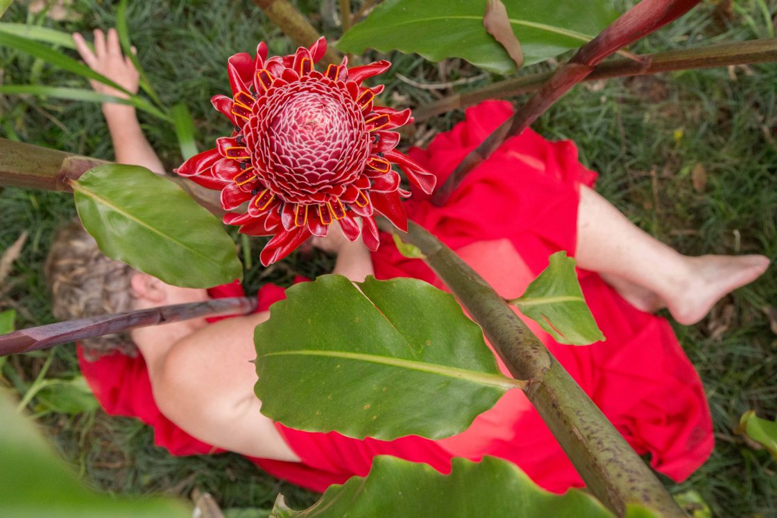 Lourdina's Garden-8429