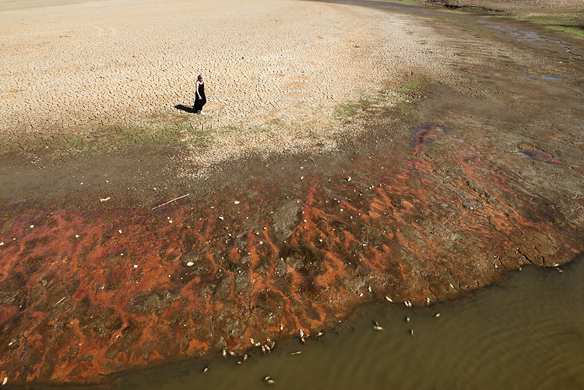 72 LFB8247-working-large-edit-print