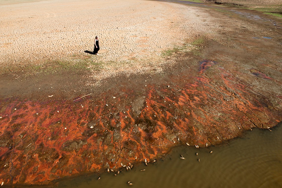 72 LFB8247-working-large-edit-print